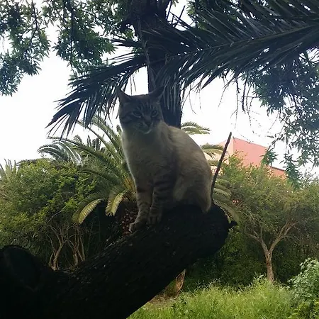 Il Melangolo Sant'Antìoco