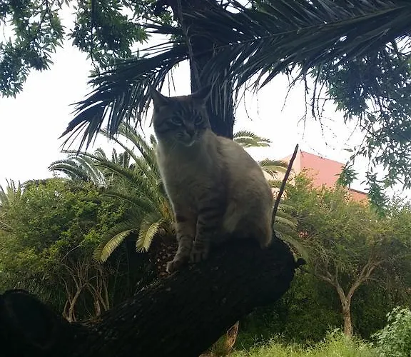 Il Melangolo Sant'Antioco